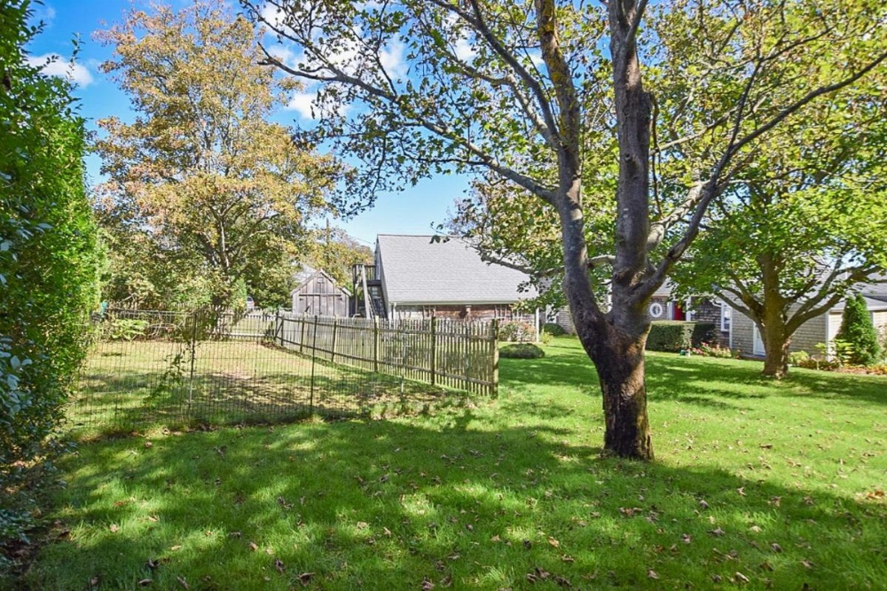 #421 - Top Deck Main image