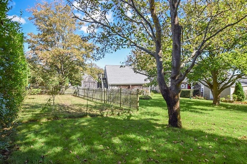 #421 - Top Deck image 3